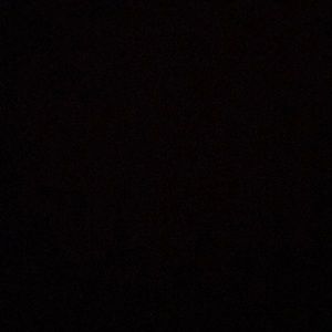 Meet your Posher, Peyton